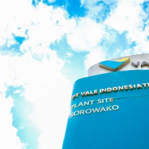 PT Vale Raih Laba Bersih AS $ 29 juta di Triwulan 1 Tahun 2020