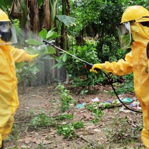 Bertambah tujuh kasus baru terkonfirmasi positif Covid-19 di Kolaka