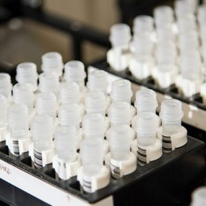 Puluhan Pejabat Kolaka Jalani Skrining Narkoba