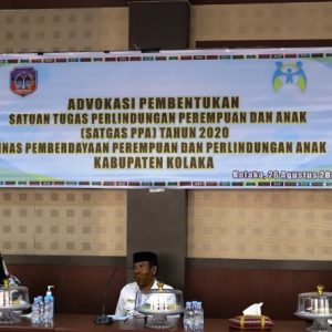 Tingkatkan perlindungan perempuan dan anak, Pemda Kolaka bentuk Satgas PPA