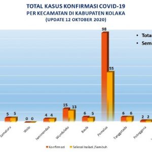 Pomalaa peringkat teratas angka kasus Covid-19 di Kolaka