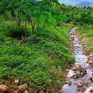 PT Vale Raih Dua Penghargaan di Minerba Award 2020