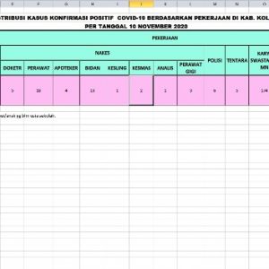IDI Kolaka sebut 47 tenaga kesehatan positif selama pandemi
