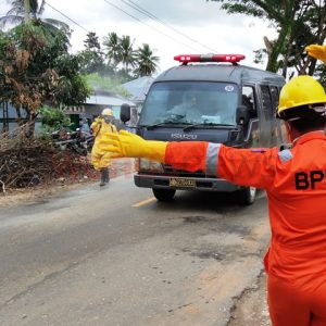 Kasus terkonfirmasi positif Covid-19 di Kolaka capai 557 orang