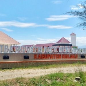 Kasus positif Covid-19 di Kolaka tembus 800 orang