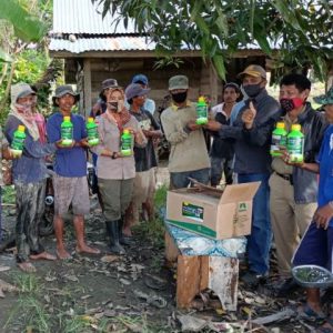Dinas Tanaman Pangan Sultra bantu Insektisida petani Kolaka