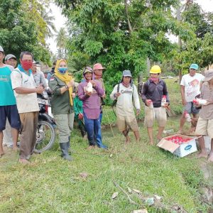 PPL dan Masyarakat Samaturu lakukan penyemprotan hama padi