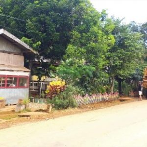 PT CNI Fokus Mitigasi Bencana dan Rehabilitasi Ekologi Wilayah Terdampak Longsor