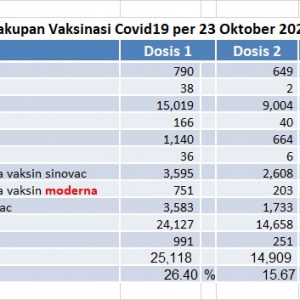 Kasus aktif COVID-19 di Kolaka Timur kosong