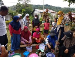 Melalui PSRLB, PT Vale Latih Masyarakat Manfaatkan Tanaman Obat