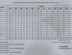 Bupati Kolaka Instruksikan Waspadai DBD