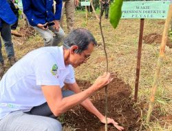 Buktikan Komitmen Keberlanjutan, PT Vale Andil Rehabilitasi DAS di Jawa Barat