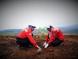 Melalui Penanaman Pohon, PT Vale Wujudkan Komitmen Peduli Pada Lingkungan