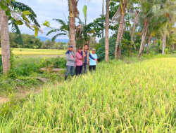 SRI Organik PT Vale Pikat Hati Anggota DPRD Kolaka