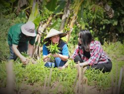 PT Vale Dorong Kemandirian Warga Lokal di Sektor Ketahanan Pangan