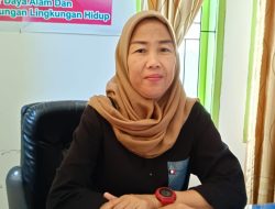 Ribuan Angkatan Kerja di Kolaka Tercatat di Dinas Nakertrans