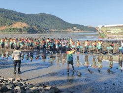 Meriahkan HUT RI,Ceria gelar Green Fun Run 5K dan Penanaman Mangrove