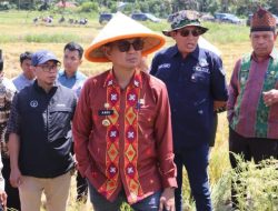 Salah Satu Prioritas Program Beramal Terus Menunjang Ketahanan Pangan