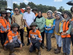 Kunker Wamenaker RI di Kolaka Pomalaa Sultra Tegaskan Peran Strategis PTVI Membangun Industri Pertambangan Patuh Regulasi