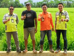 Dorong Kemandirian Ekonomi Lokal, PT Vale Hadirkan Program Peningkatan Taraf Hidup Masyarakat