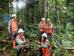 Komitmen Keberlanjutan, PT Vale Hijaukan Area Bekas Tambang