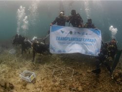 Langkah Strategis Pulihkan Laut Demi Generasi Mendatang: PT Vale Tanam 25 Struktur Terumbu Karang dan Bersihkan Pesisir Pulau Bulupoloe