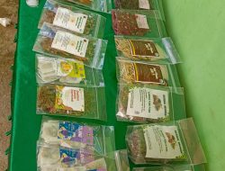 Indah; Bunga Telang Obat Herbal Paling Laris, Terima Kasih Vale atas Pendampingannya