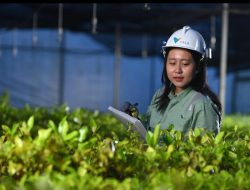 PT Vale Indonesia Tbk Umumkan Pencapaian di Triwulan Kedua Tahun 2025