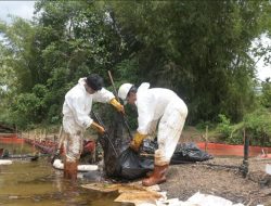 Progres Pemulihan PT Vale di Towuti, Respon Darurat Menuju Solusi Terstruktur