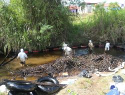 Langkah Nyata Wujudkan Towuti Pulih: PT Vale Fokus Bersihkan Sisa Tumpahan dan Tanggapi Aduan Warga