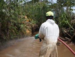 Wujud Nyata Pemulihan di Towuti, PT Vale Tuntaskan Enam Titik Penanganan Tumpahan Pipa Minyak