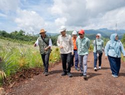 Perkuat Kepemimpinan ESG di PT Vale Indonesia melalui Kunjungan Strategis Deputi KLH untuk Tata Lingkungan dan SDA Berkelanjutan