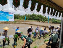 Bupati Kolaka; Salah Satu Andil Inflasi di Kolaka Adalah Beras