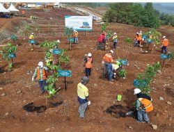 Warisan Hijau untuk Dunia: PT Vale Indonesia Lakukan Penanaman Pohon Serentak sebagai Komitmen Global Terhadap Iklim dan Keberlanjutan