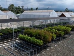 PT Vale Mencapai Kinerja Keuangan Yang Solid Pada Triwulan Pertama Tahun 2026