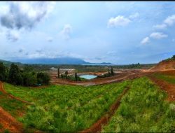 Menavigasi Tantangan, Perjalanan ESG PT Vale Menguat Pada 2025