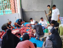 Baznas Kolaka Qurban Dua Ekor Sapi Baznas Kolaka Qurban Dua Ekor Sapi bagi Warga Tidak Mampu