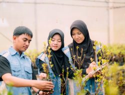 Dorong Generasi Peduli Lingkungan, PT Vale Edukasi Praktik Green Mining Lewat Nursery Tanggetada