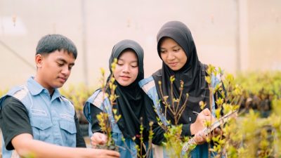 Dorong Generasi Peduli Lingkungan, PT Vale Edukasi Praktik Green Mining Lewat Nursery Tanggetada