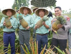 Perkuat Generasi Penggerak Keberlanjutan di Luwu Timur, PT Vale Luncurkan Kelas Konservasi