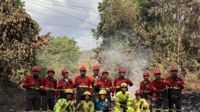 Respons Kebakaran Lahan di Pomalaa, IPIP Kerahkan 2 Unit Damkar