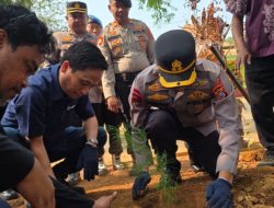 Antam-Polres Kolaka Sinergi Jaga Kelestarian Lingkungan, Melakukan Penanaman Bibit Cemara Laut di Pomalaa
