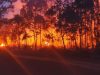 GAKKUM Tegaskan Petani Wajib Patuh Aturan Penggunaan Kawasan Hutan