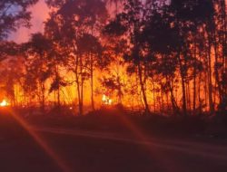GAKKUM Tegaskan Petani Wajib Patuh Aturan Penggunaan Kawasan Hutan